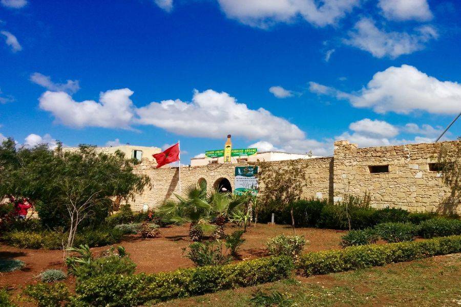 Reise 2 Tage in die wunderschöne Stadt Essaouira (Mogador)
