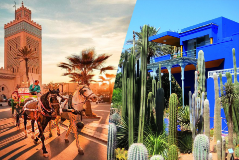 Eine schöne Tour mit Pferdekutsche und Besuch von Majorelle Garden