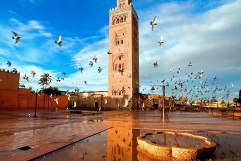 Historische Gärten und Stadtmauern von Marrakesch Tour