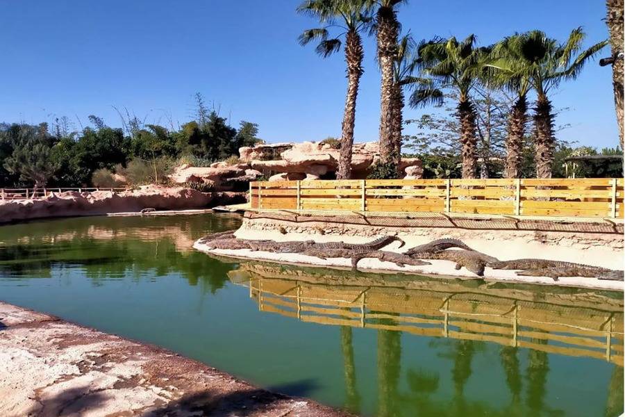 Agadir Tagesausflug von Marrakesch