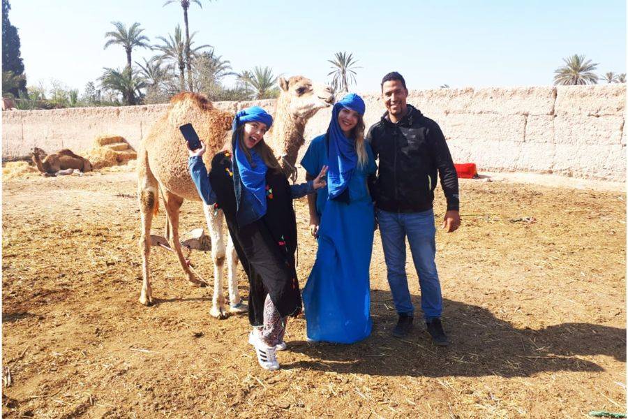 Kamelritt in der Palmeraie von Marrakesch