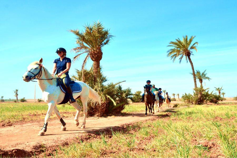 Reiten in Marrakesch Palmeraie