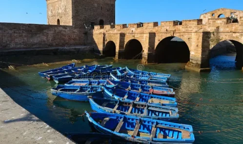 Eendaagse excursie naar Essaouira 