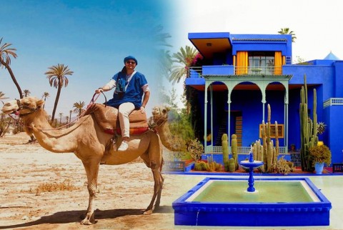 Majorelle Garden Mit einem Kamelritt in den Palmen