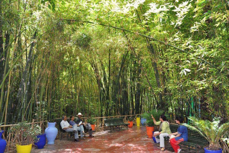 Majorelle Garden Mit einem Kamelritt in den Palmen