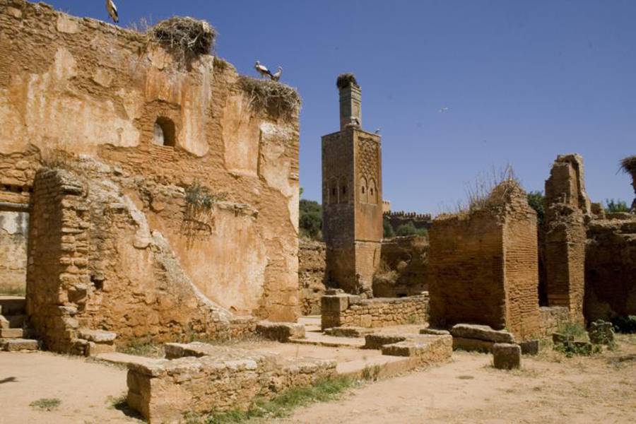 Privater Tagesausflug nach Rabat von Casablanca