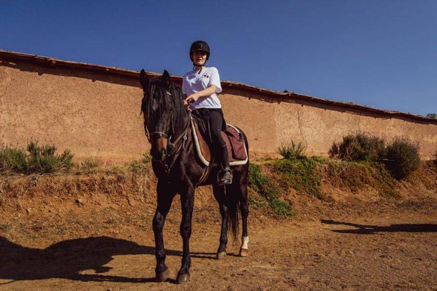 Reiten in Marrakesch Palmeraie
