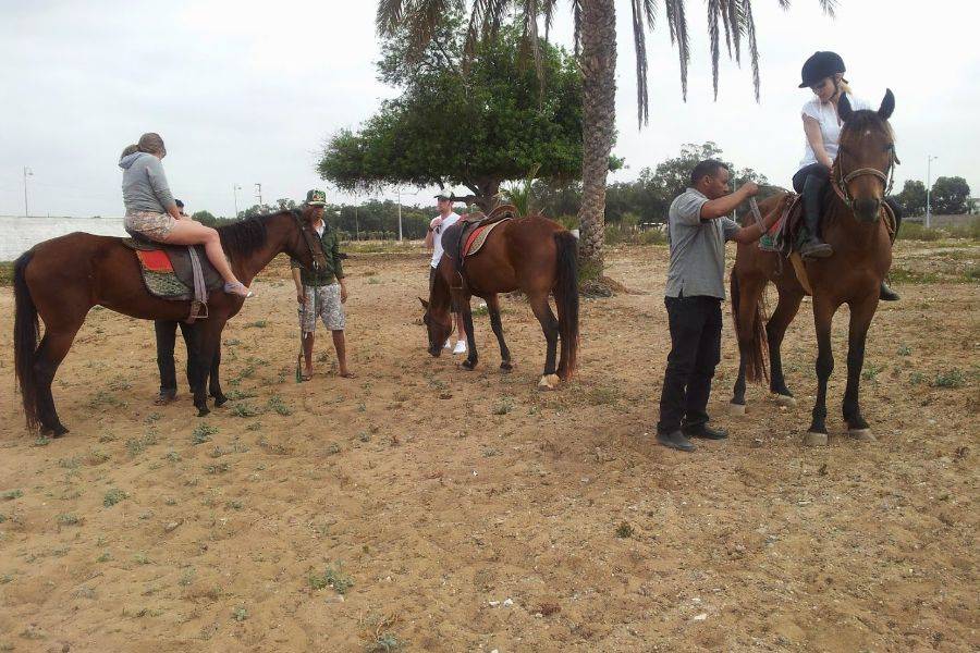Reiten in Marrakesch Palmeraie