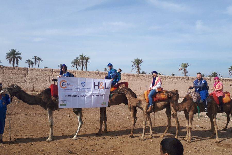 Kamelritt in der Palmeraie von Marrakesch