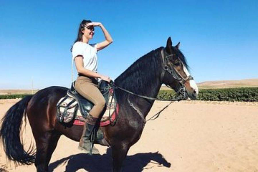 Reiten in Marrakesch Palmeraie