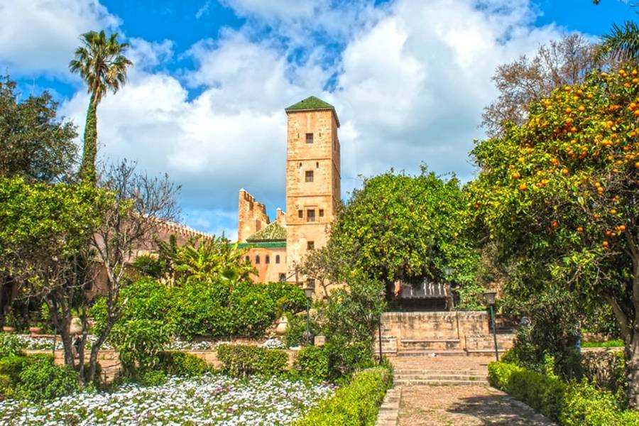Privater Tagesausflug nach Rabat von Casablanca