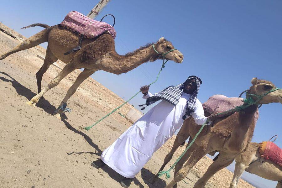 Quad, Camel Ride und Abendessen in der Felsenwüste von Agafay