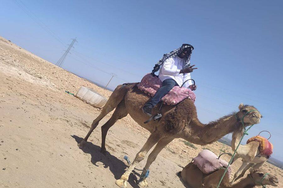 Quad, Camel Ride und Abendessen in der Felsenwüste von Agafay