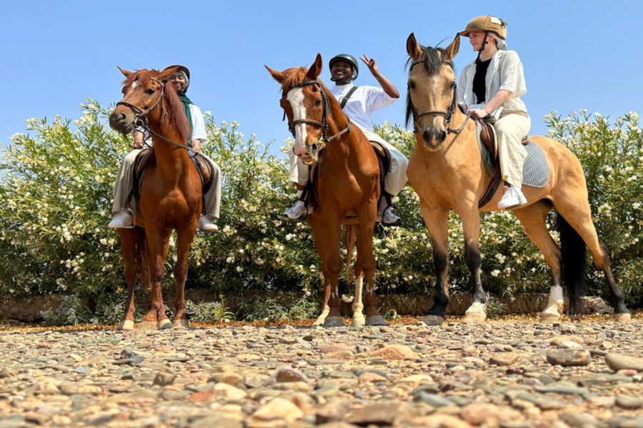 Reiten in Marrakesch Palmeraie