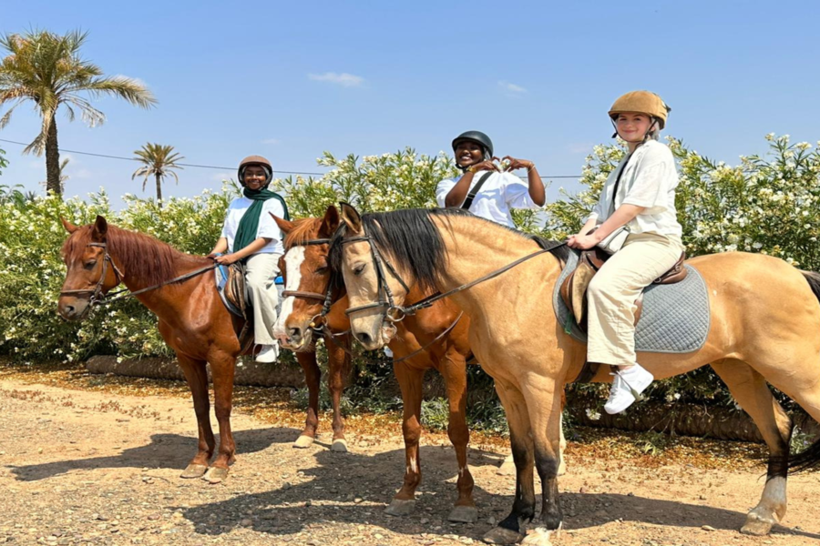 Reiten in Marrakesch Palmeraie