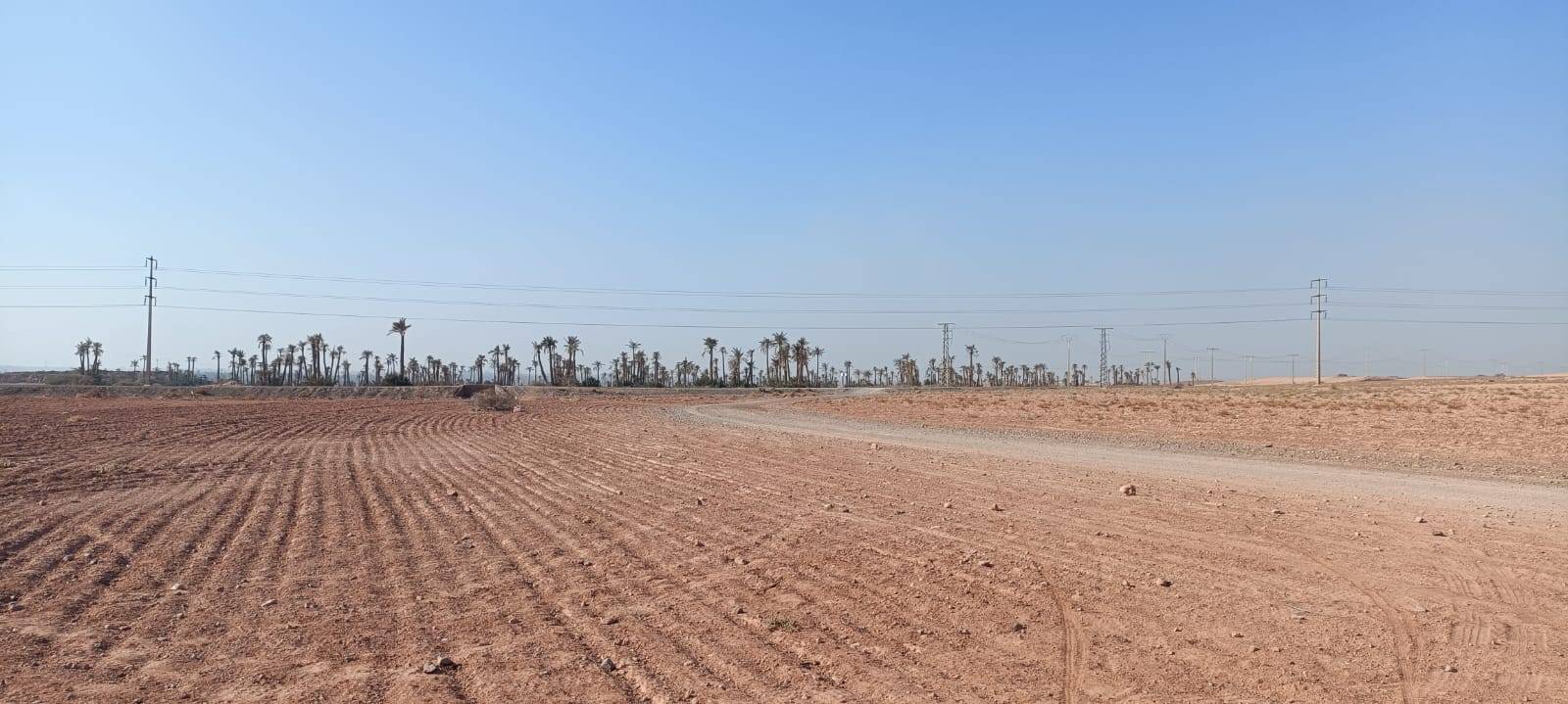 Fahrradtouren in Palmeraie Marrakesch halber Tag