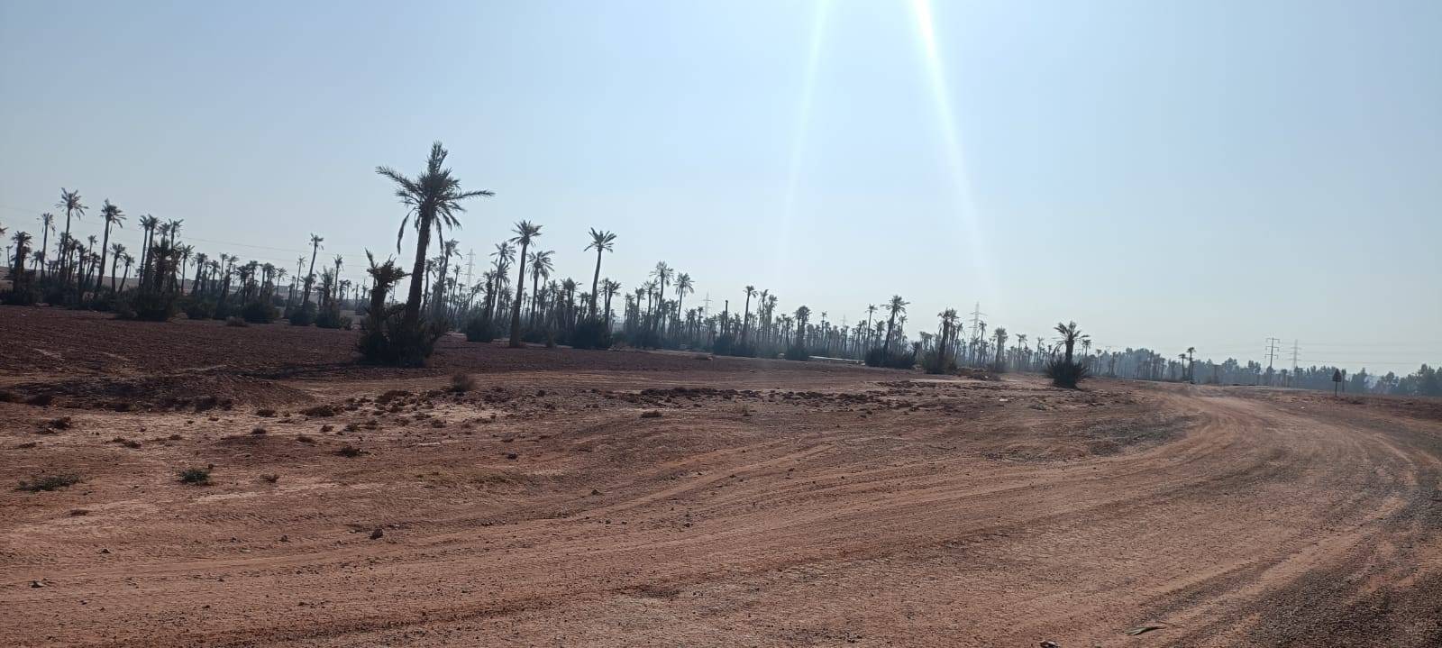 Fahrradtouren in Palmeraie Marrakesch halber Tag