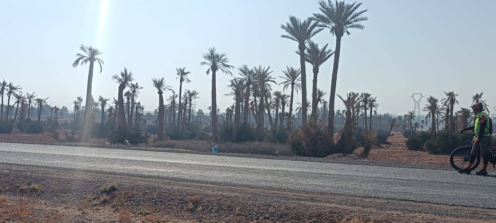 Fahrradtouren in Palmeraie Marrakesch halber Tag