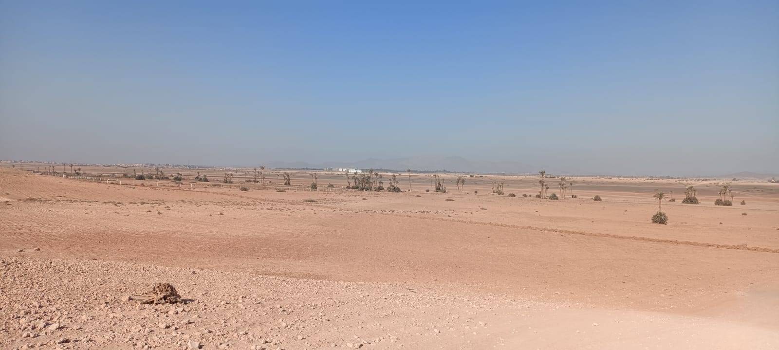 Fahrradtouren in Palmeraie Marrakesch halber Tag