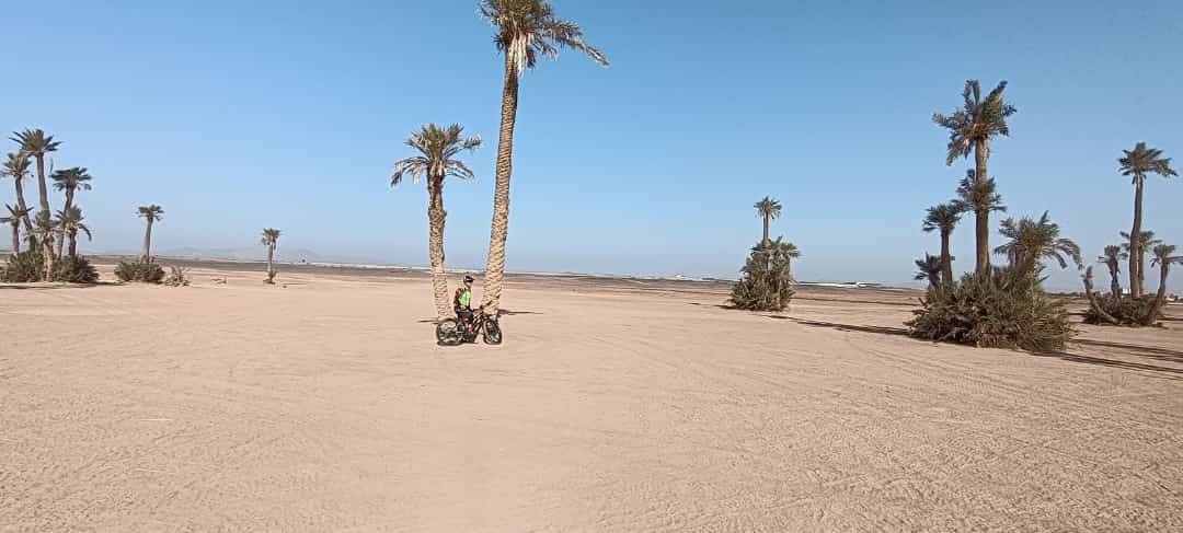 Fahrradtouren in Palmeraie Marrakesch halber Tag