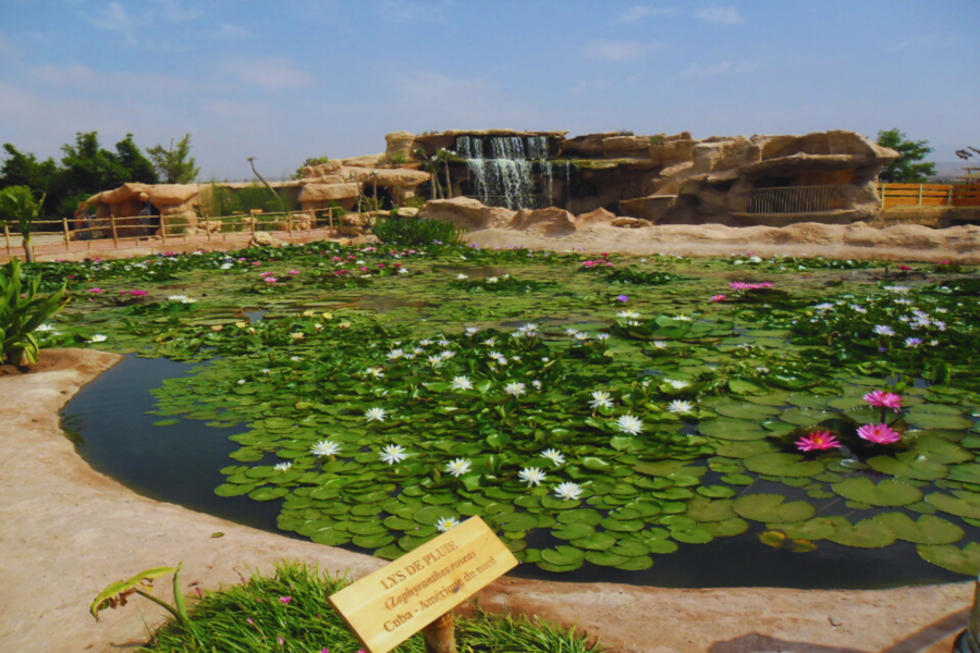 Agadir Tagesausflug von Marrakesch