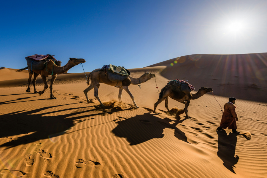 5 Tage marokkanische Wüstenreise Erfahrung