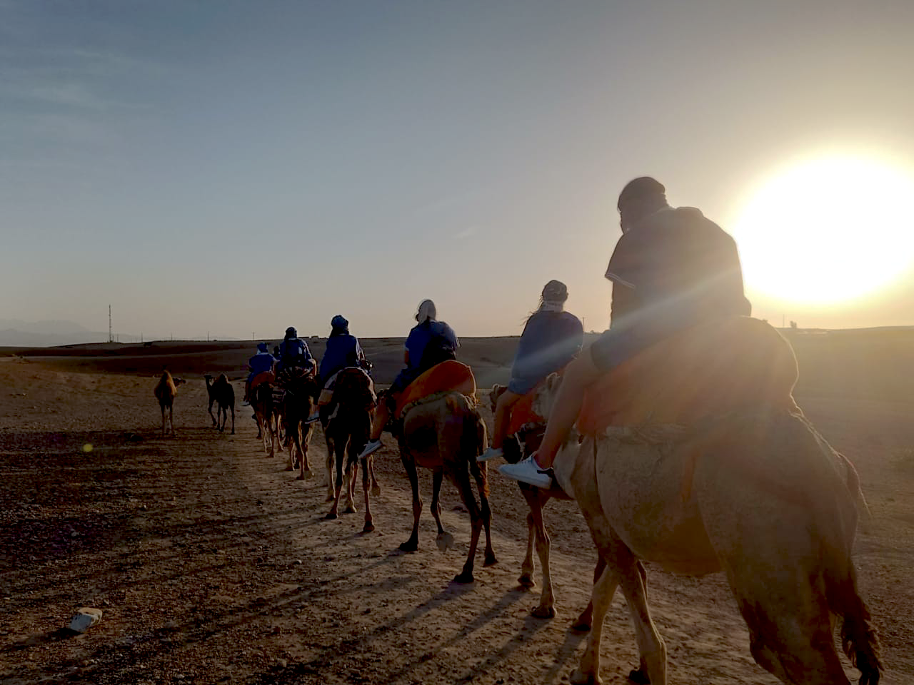 Kamelreiten & Quad-Erlebnis in der Agafay Rocky Desert