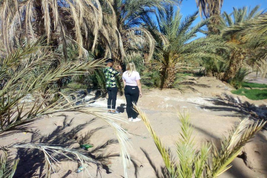 Ouarzazate, Kasbah Ait ben haddou & Oasis Fint 2 Tage Tour