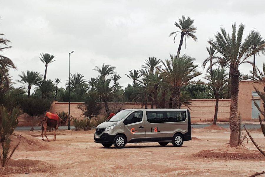 Kamelritt & Quad in Marrakesch Palmeraie