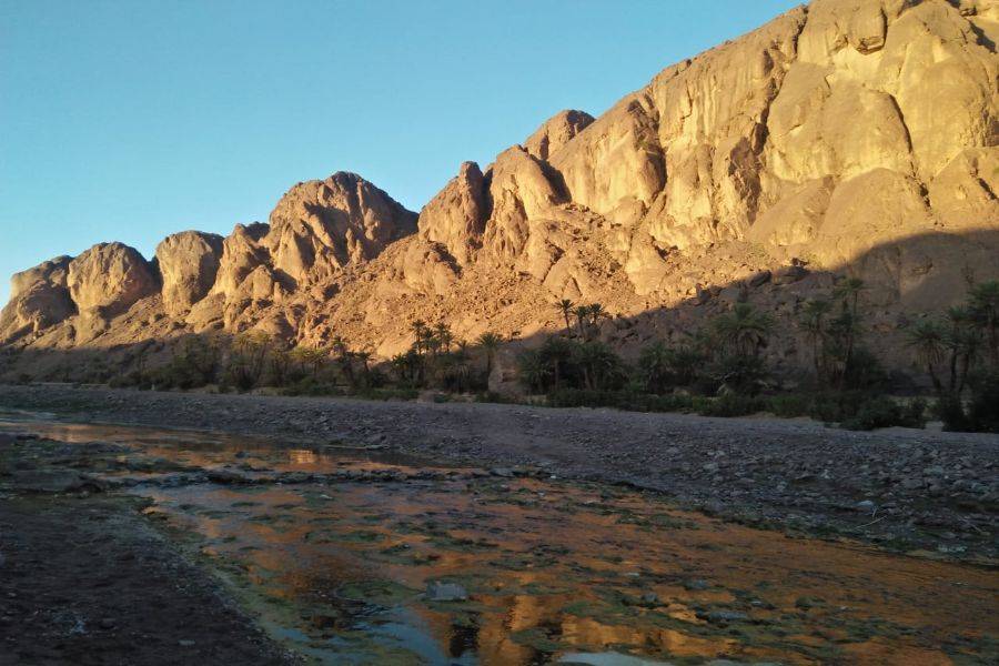 Ouarzazate, Kasbah Ait ben haddou & Oasis Fint 2 Tage Tour
