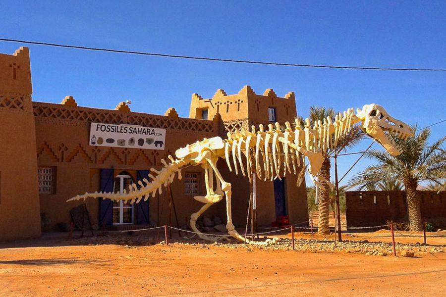 Merzouga 3 Tage Wüstenreise von Marrakesch nach Fez