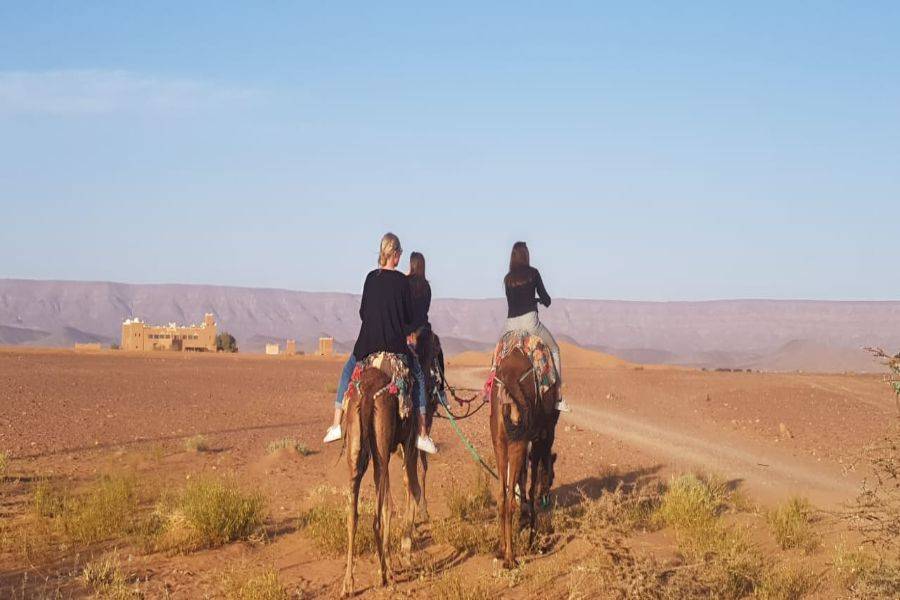 Kamelreiten & Quad-Erlebnis in der Agafay Rocky Desert