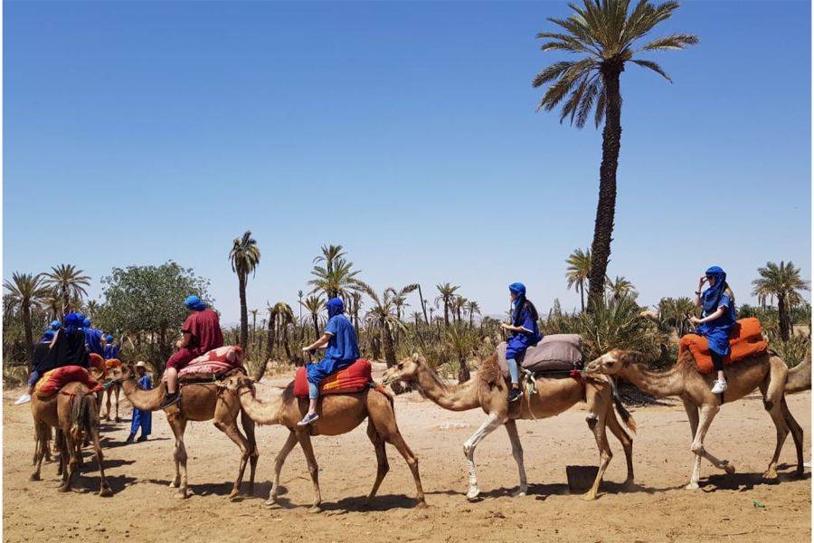 Adrenalin Buggy fahren und Kamel fahren in Palmeraie Marrakesch