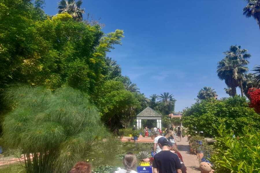 Eine schöne Tour mit Pferdekutsche und Besuch von Majorelle Garden