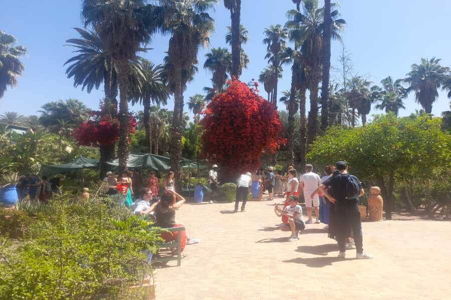 Eine schöne Tour mit Pferdekutsche und Besuch von Majorelle Garden