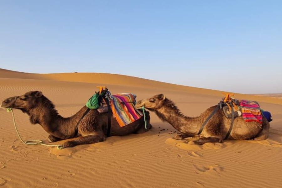 3-tägiges Wüstenerlebnis von Fes nach Marrakesch