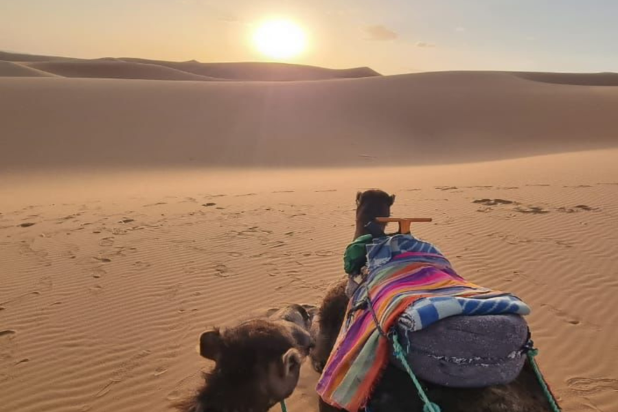 3-tägiges Wüstenerlebnis von Fes nach Marrakesch