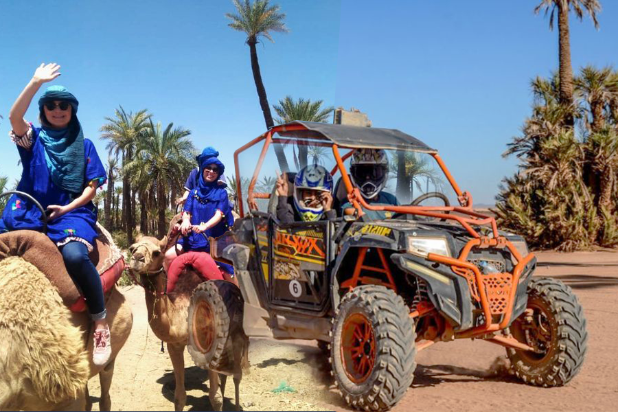 Adrenalin Buggy fahren und Kamel fahren in Palmeraie Marrakesch