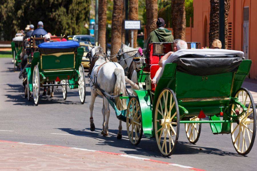 Schöne Reitkutsche in Marrakesch