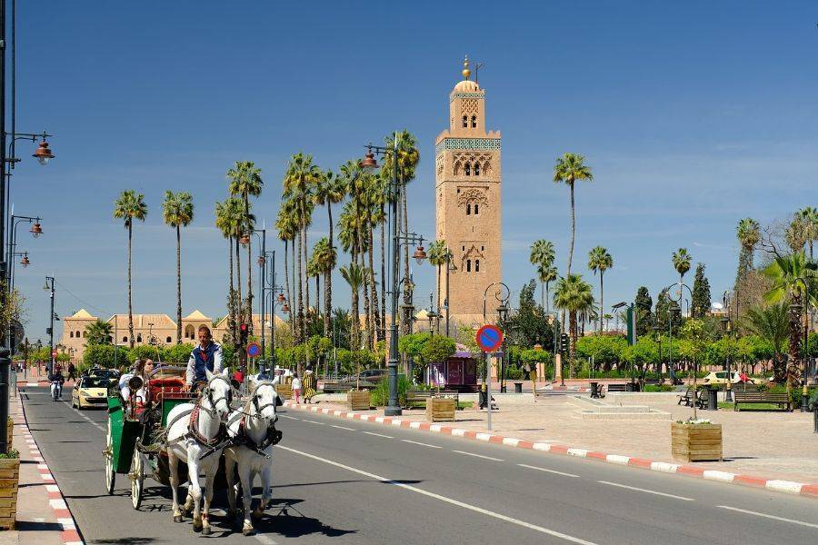 Historische Gärten und Stadtmauern von Marrakesch Tour