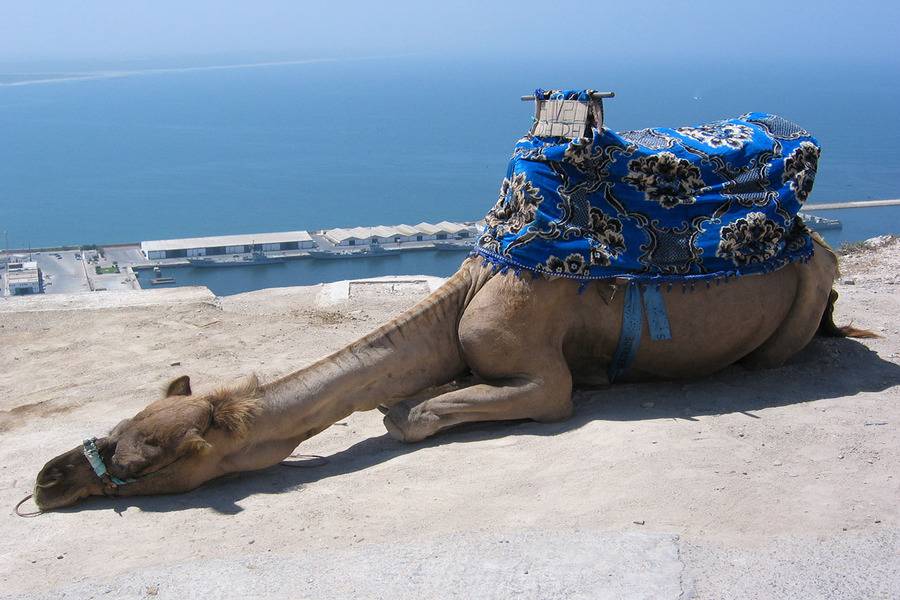 Agadir Tagesausflug von Marrakesch