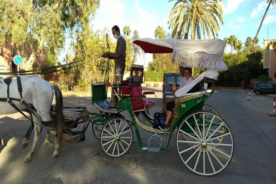 Schöne Reitkutsche in Marrakesch