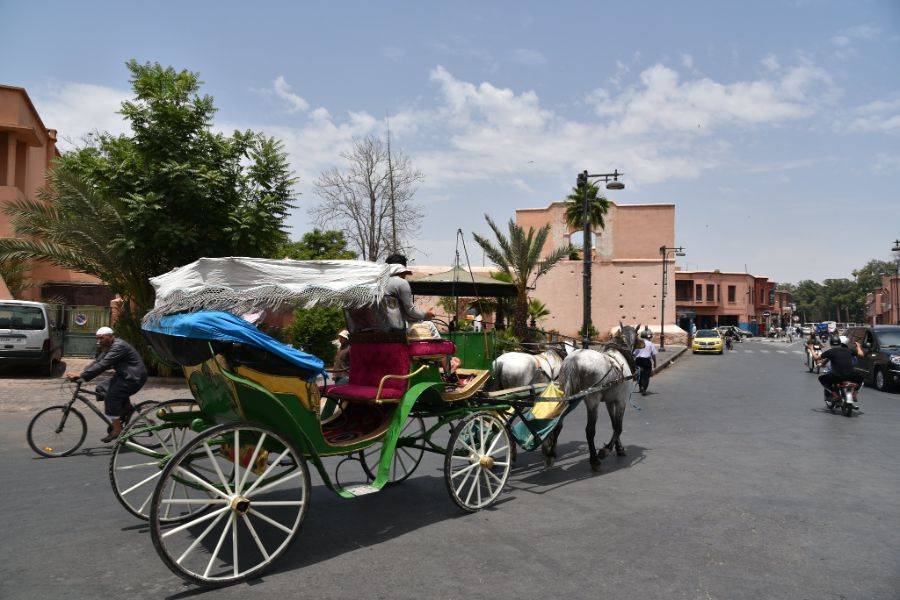 Schöne Reitkutsche in Marrakesch