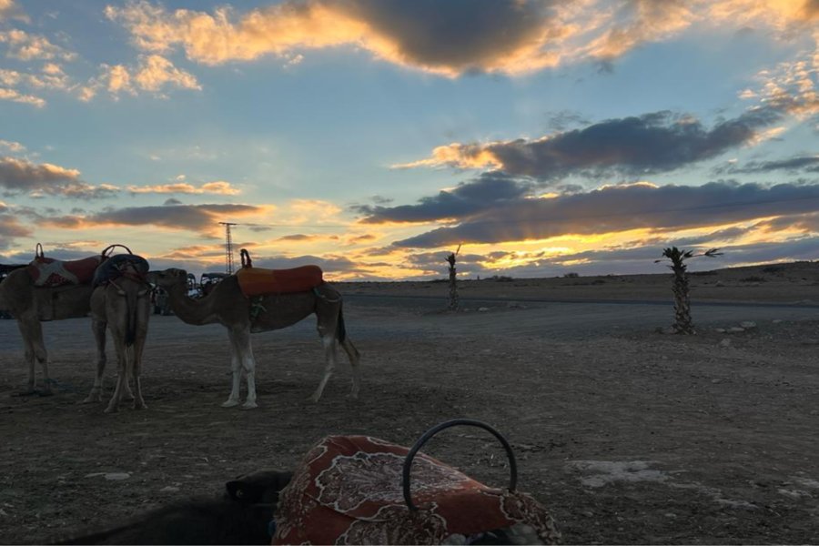 Tagesausflug zum Atlasgebirge mit Kameltrekking bei Sonnenuntergang in der Agafay Sahara