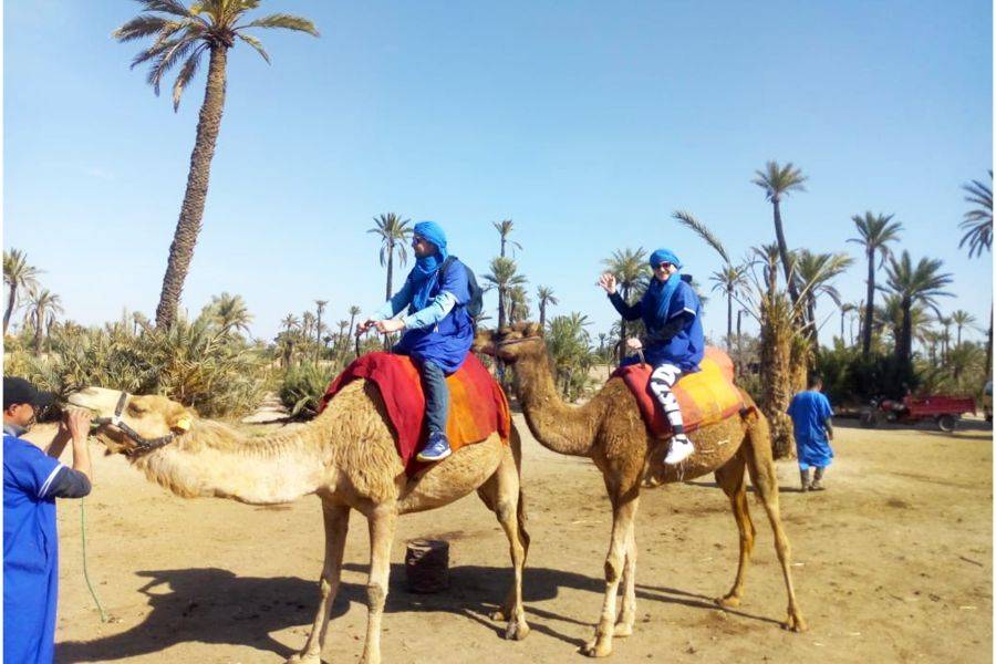 Kamelritt in der Palmeraie von Marrakesch