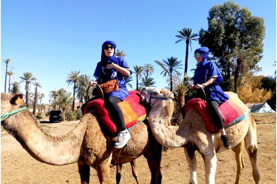 Kamelritt in der Palmeraie von Marrakesch