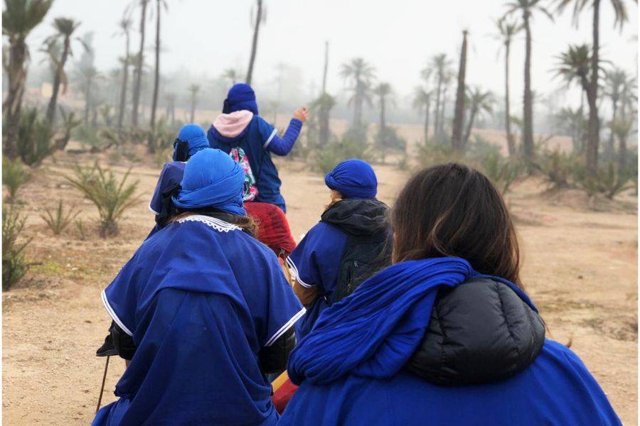Kamelritt in der Palmeraie von Marrakesch