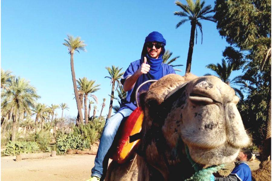 Kamelritt in der Palmeraie von Marrakesch