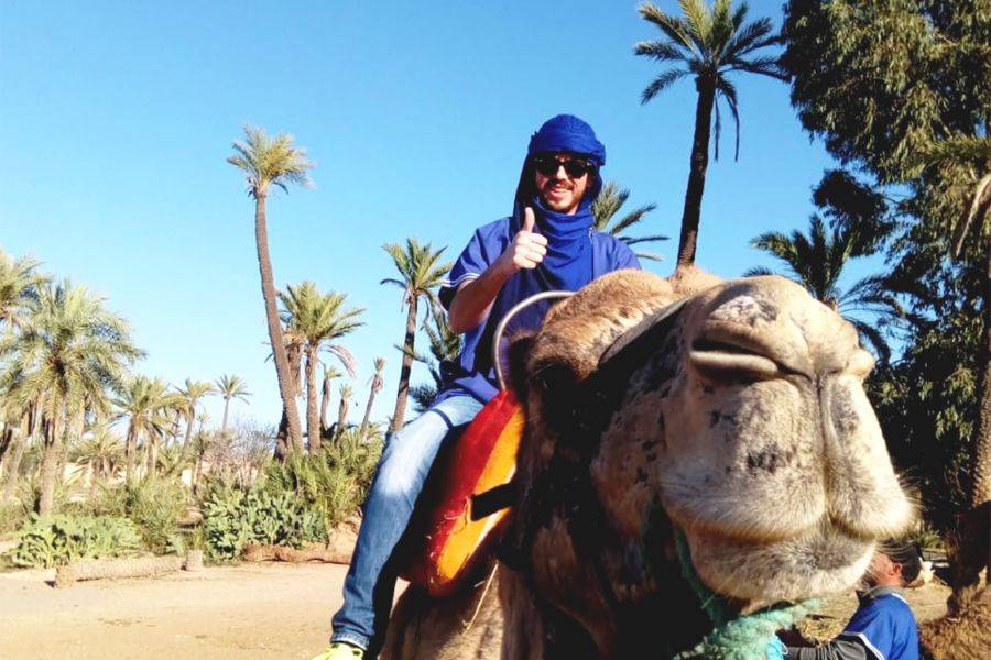 Adrenalin Buggy fahren und Kamel fahren in Palmeraie Marrakesch