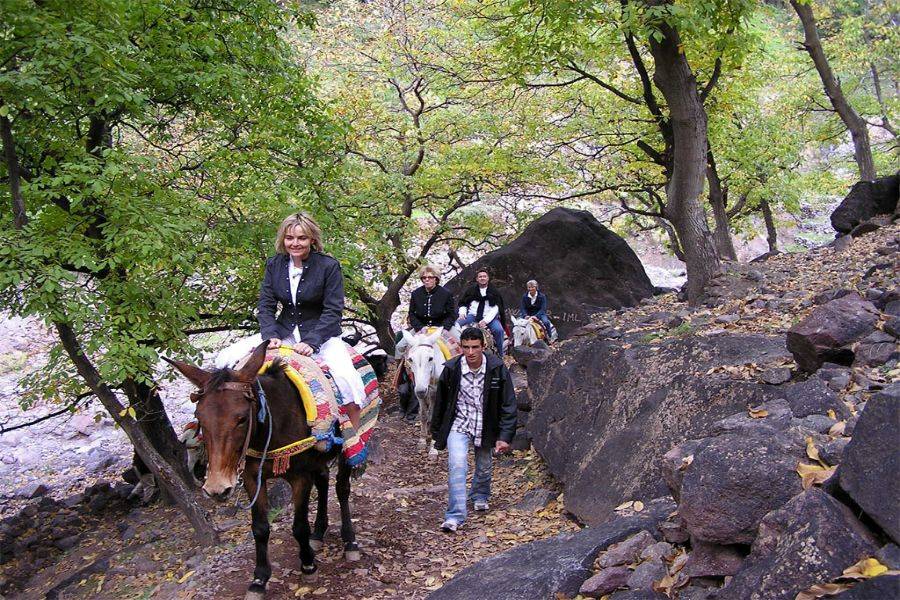 Ausflug nach Asni & Imlil mit einem köstlichen Mittagessen in der Kasbah Toubkal